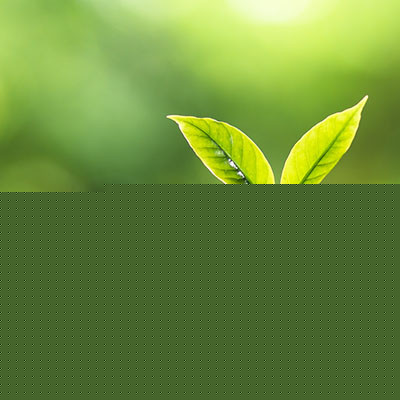 Big Data Can Help Fuel Your Business’ Growth